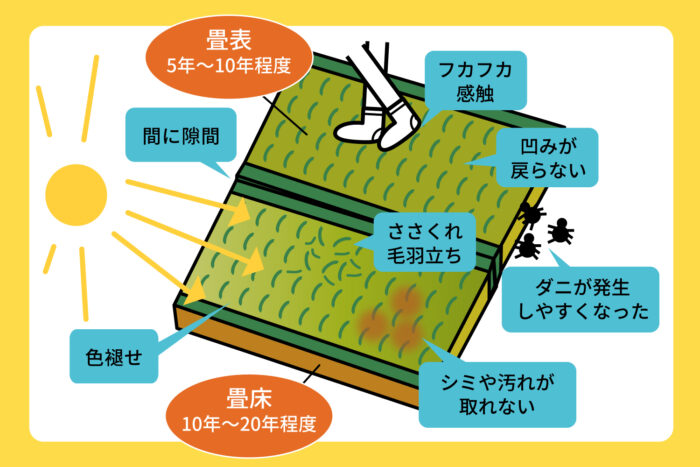 畳の寿命・処分・買い替えのタイミング_
